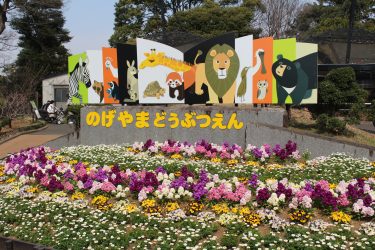 野毛山動物園 / 神奈川県の動物園