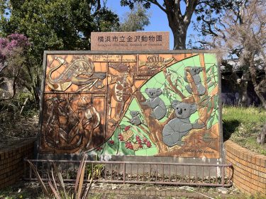 コアラ・カンガルーに会える！横浜市立金沢動物園/神奈川の動物園