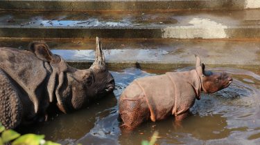 多摩動物公園に近い・安い駐車場まとめ。平日500円〜